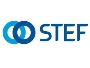 STEF logo