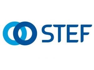 STEF logo